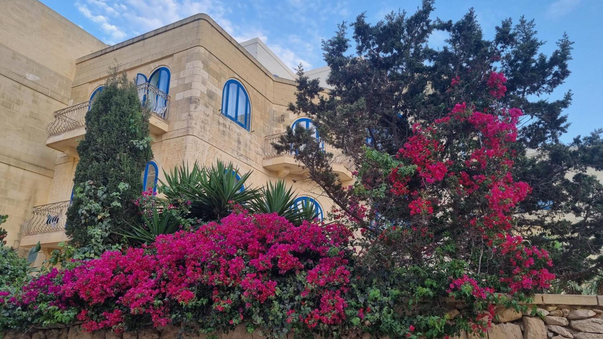 Villa Serenity B&B 사넷 외부 사진